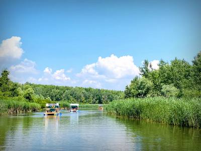 A Pannon Egyetem is részt vett a IV. Tisza-tavi PET Kupán