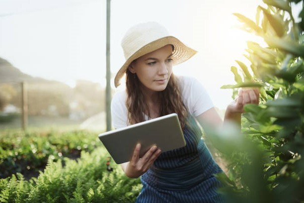 istockphoto 1097842634 612x612b