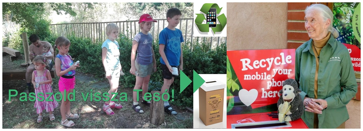 Passzold Vissza Tesó